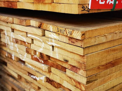 加納木材市場遭遇寒冬 價格斷崖式下跌，最大跌幅超五成